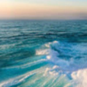 Meet your Posher, Vivian